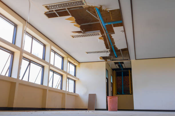 Best Residential water damage restoration  in Rochester, WA