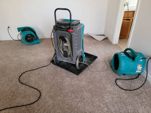 Best Water damage restoration near me  in Rochester, WA