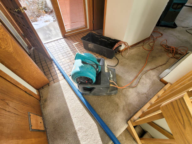 Best Flood damage cleanup  in Rochester, WA