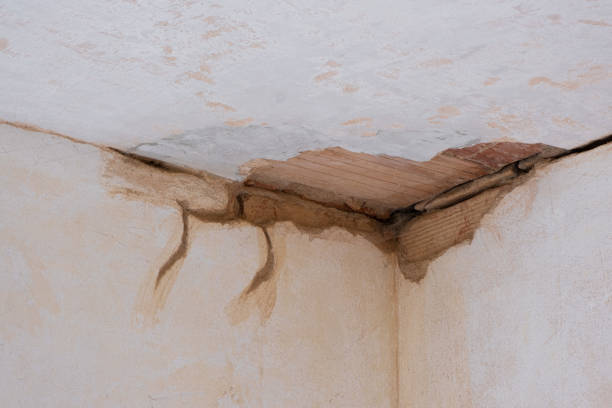 Best Water damage restoration near me  in Rochester, WA