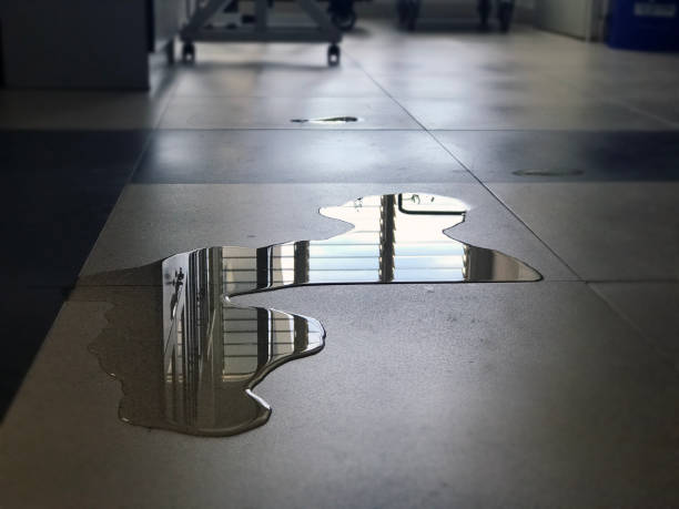 Rochester, WA Water damage restoration Company