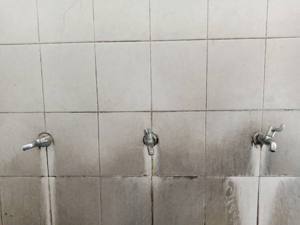 Water damage restoration mold remediation in Rochester, WA