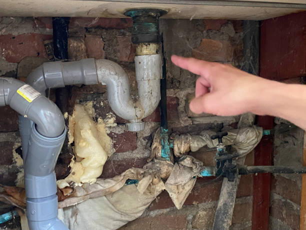 Best 24/7 water damage repair  in Rochester, WA