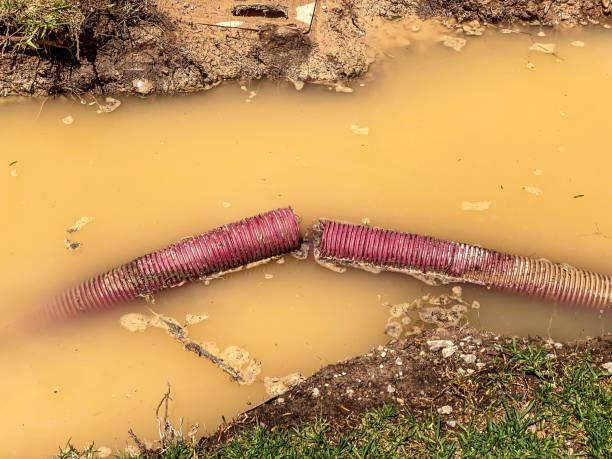 Best Carpet water damage restoration  in Rochester, WA